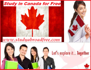 Read more about the article Study in Canada for free without IELTS 2020