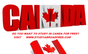 free study in canada