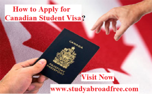 Read more about the article Why Study Abroad with Study Abroad Scholarships?