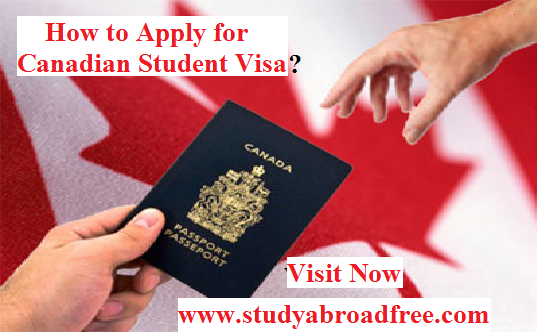 Read more about the article Benefits of Studying Abroad In Canada