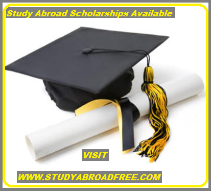 Read more about the article Study Abroad Scholarships 2020 Application