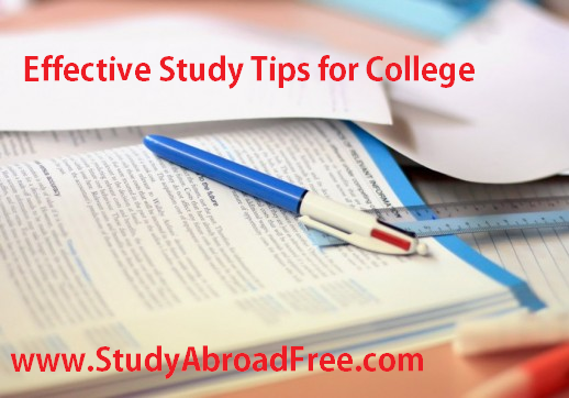 Effective Study Tips for College students